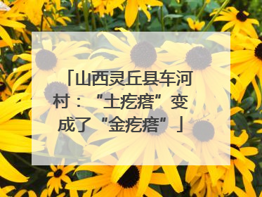 山西灵丘县车河村：“土疙瘩”变成了“金疙瘩”