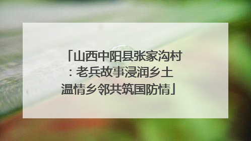 山西中阳县张家沟村：老兵故事浸润乡土 温情乡邻共筑国防情