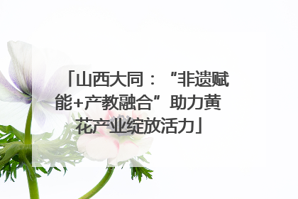 山西大同：“非遗赋能+产教融合”助力黄花产业绽放活力