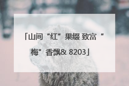 山间“红”果缀 致富“梅”香飘& 8203
