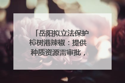 岳阳拟立法保护樟树港辣椒：提供种质资源需审批，违规最高罚5万