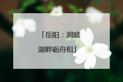 岳阳：洞庭湖畔砺舟楫