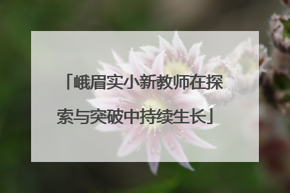 峨眉实小新教师在探索与突破中持续生长