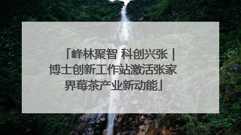 峰林聚智 科创兴张｜博士创新工作站激活张家界莓茶产业新动能