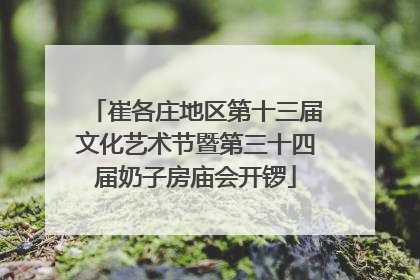 崔各庄地区第十三届文化艺术节暨第三十四届奶子房庙会开锣