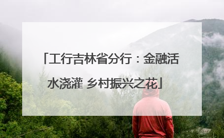 工行吉林省分行：金融活水浇灌 乡村振兴之花