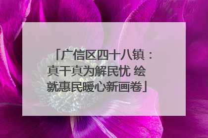 广信区四十八镇：真干真为解民忧 绘就惠民暖心新画卷