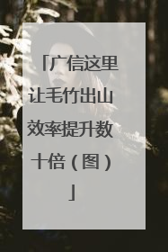 广信这里让毛竹出山效率提升数十倍（图）
