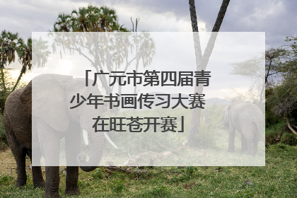 广元市第四届青少年书画传习大赛在旺苍开赛