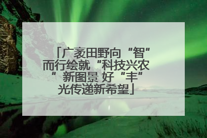 广袤田野向“智”而行绘就“科技兴农”新图景 好“丰”光传递新希望