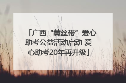 广西“黄丝带”爱心助考公益活动启动 爱心助考20年再升级