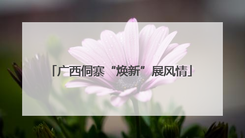广西侗寨“焕新”展风情