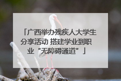 广西举办残疾人大学生分享活动 搭建学业到职业“无障碍通道”