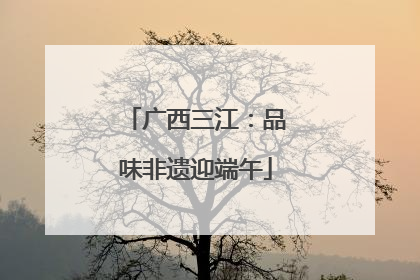 广西三江：品味非遗迎端午