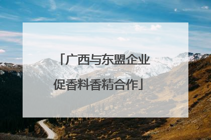 广西与东盟企业促香料香精合作
