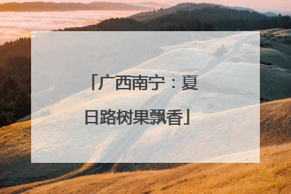 广西南宁：夏日路树果飘香