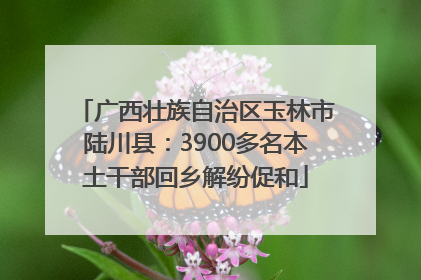 广西壮族自治区玉林市陆川县：3900多名本土干部回乡解纷促和