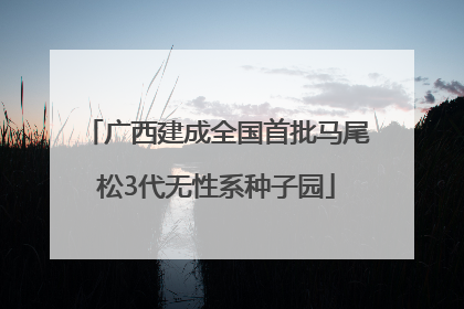 广西建成全国首批马尾松3代无性系种子园