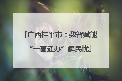 广西桂平市：数智赋能“一窗通办”解民忧