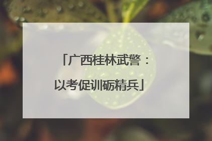 广西桂林武警：以考促训砺精兵