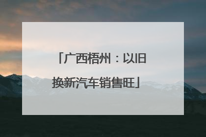 广西梧州：以旧换新汽车销售旺