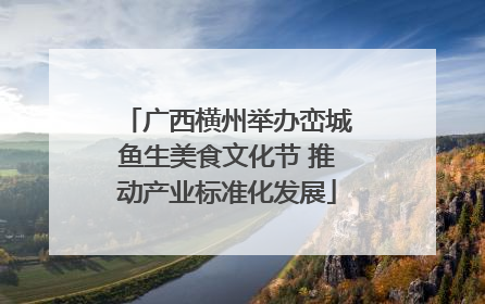 广西横州举办峦城鱼生美食文化节 推动产业标准化发展