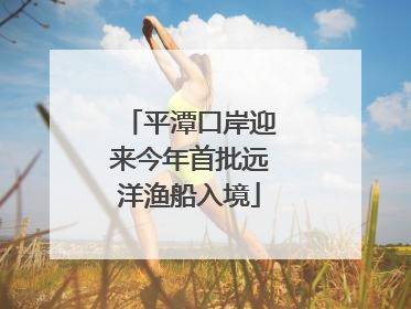 平潭口岸迎来今年首批远洋渔船入境