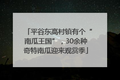 平谷东高村镇有个“南瓜王国”，30余种奇特南瓜迎来观赏季