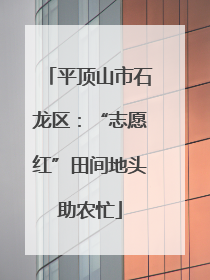 平顶山市石龙区：“志愿红”田间地头助农忙