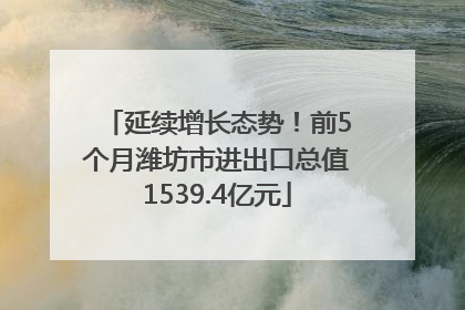 延续增长态势！前5个月潍坊市进出口总值1539.4亿元