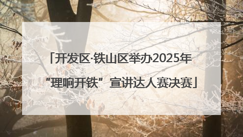 开发区·铁山区举办2025年“理响开铁”宣讲达人赛决赛