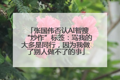 张国伟否认AI智搜“炒作”标签：骂我的大多是同行，因为我做了别人做不了的事