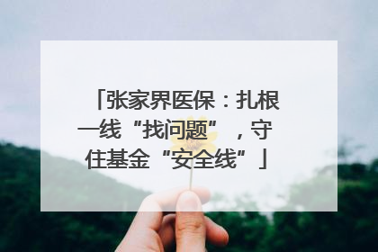 张家界医保：扎根一线“找问题”，守住基金“安全线”