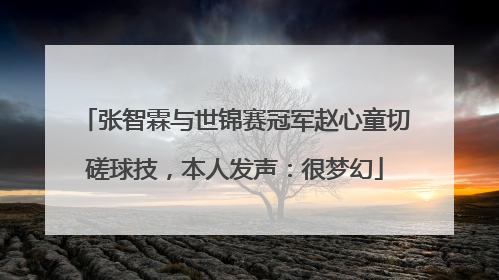 张智霖与世锦赛冠军赵心童切磋球技，本人发声：很梦幻