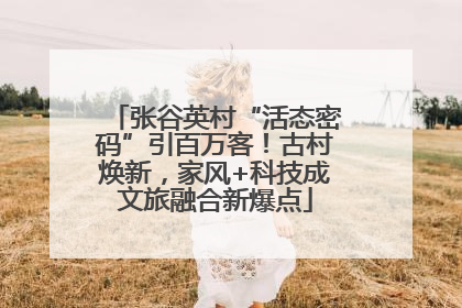 张谷英村“活态密码”引百万客！古村焕新，家风+科技成文旅融合新爆点