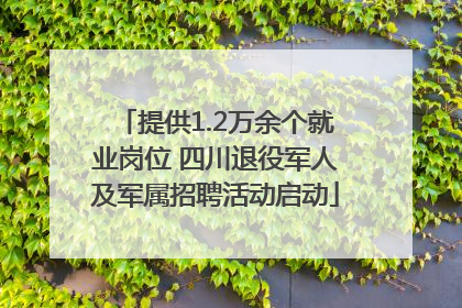 提供1.2万余个就业岗位 四川退役军人及军属招聘活动启动