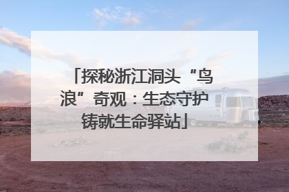 探秘浙江洞头“鸟浪”奇观：生态守护铸就生命驿站