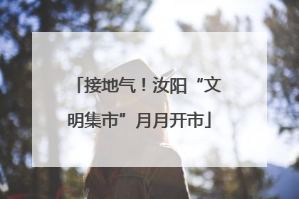 接地气！汝阳“文明集市”月月开市