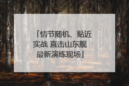 情节随机、贴近实战 直击山东舰最新演练现场