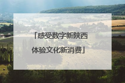 感受数字新陕西 体验文化新消费