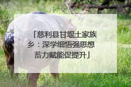 慈利县甘堰土家族乡：深学细悟强思想 蓄力赋能促提升