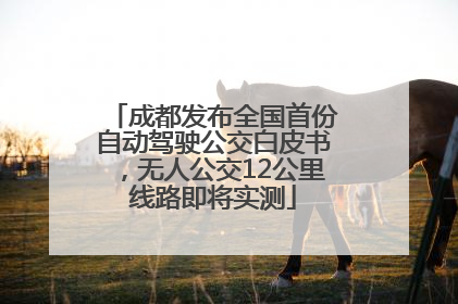 成都发布全国首份自动驾驶公交白皮书，无人公交12公里线路即将实测