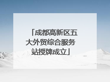 成都高新区五大外贸综合服务站授牌成立