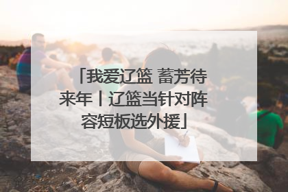 我爱辽篮 蓄芳待来年丨辽篮当针对阵容短板选外援