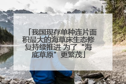 我国现存单种连片面积最大的海草床生态修复持续推进 为了“海底草原”更繁茂