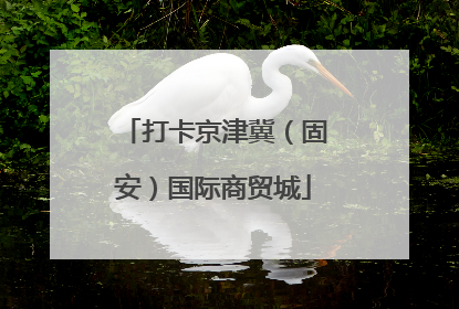 打卡京津冀（固安）国际商贸城