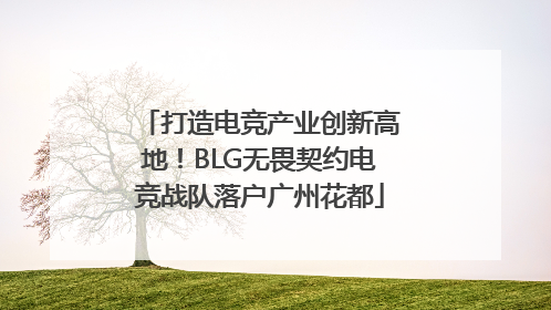 打造电竞产业创新高地！BLG无畏契约电竞战队落户广州花都