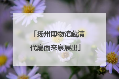 扬州博物馆藏清代扇面来泉展出