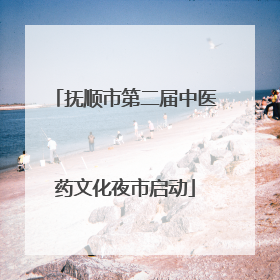 抚顺市第二届中医药文化夜市启动