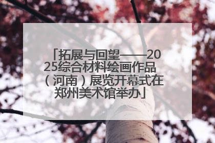 拓展与回望——2025综合材料绘画作品（河南）展览开幕式在郑州美术馆举办